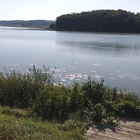 Ferienwohnung Apartma Mbm Križevci pri Ljutomeru Exterior foto
