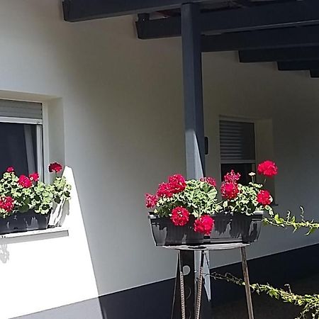 Ferienwohnung Apartma Mbm Križevci pri Ljutomeru Exterior foto