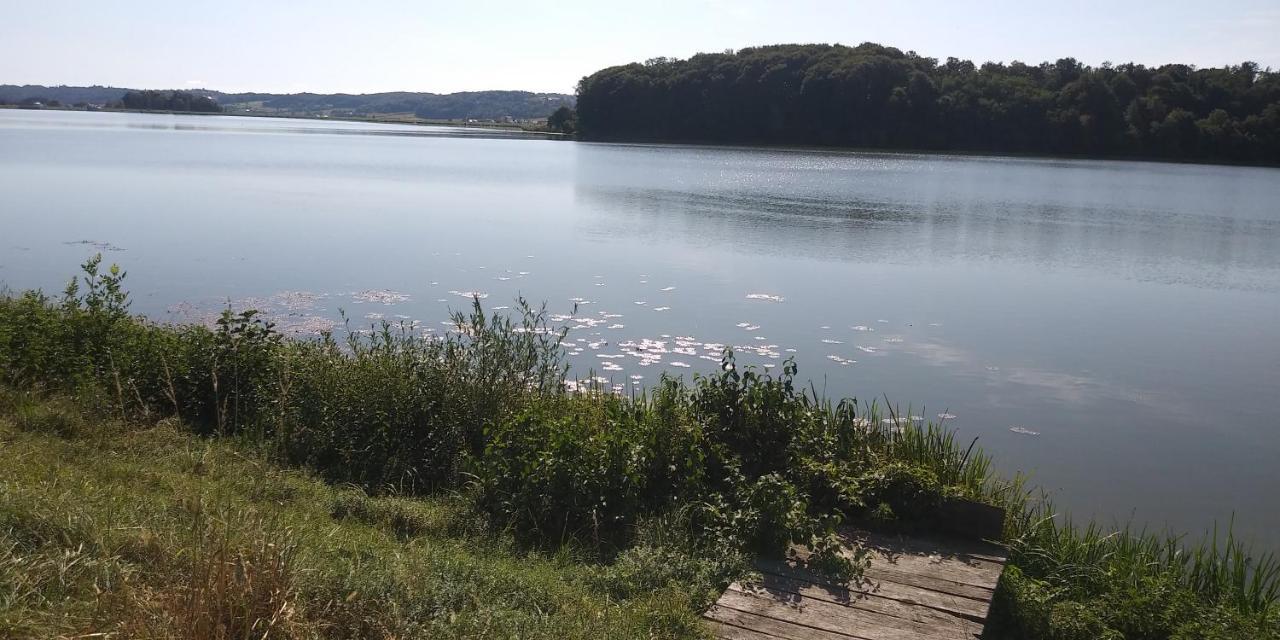 Ferienwohnung Apartma Mbm Križevci pri Ljutomeru Exterior foto